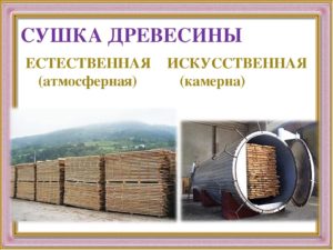 Искусственная сушка древесины